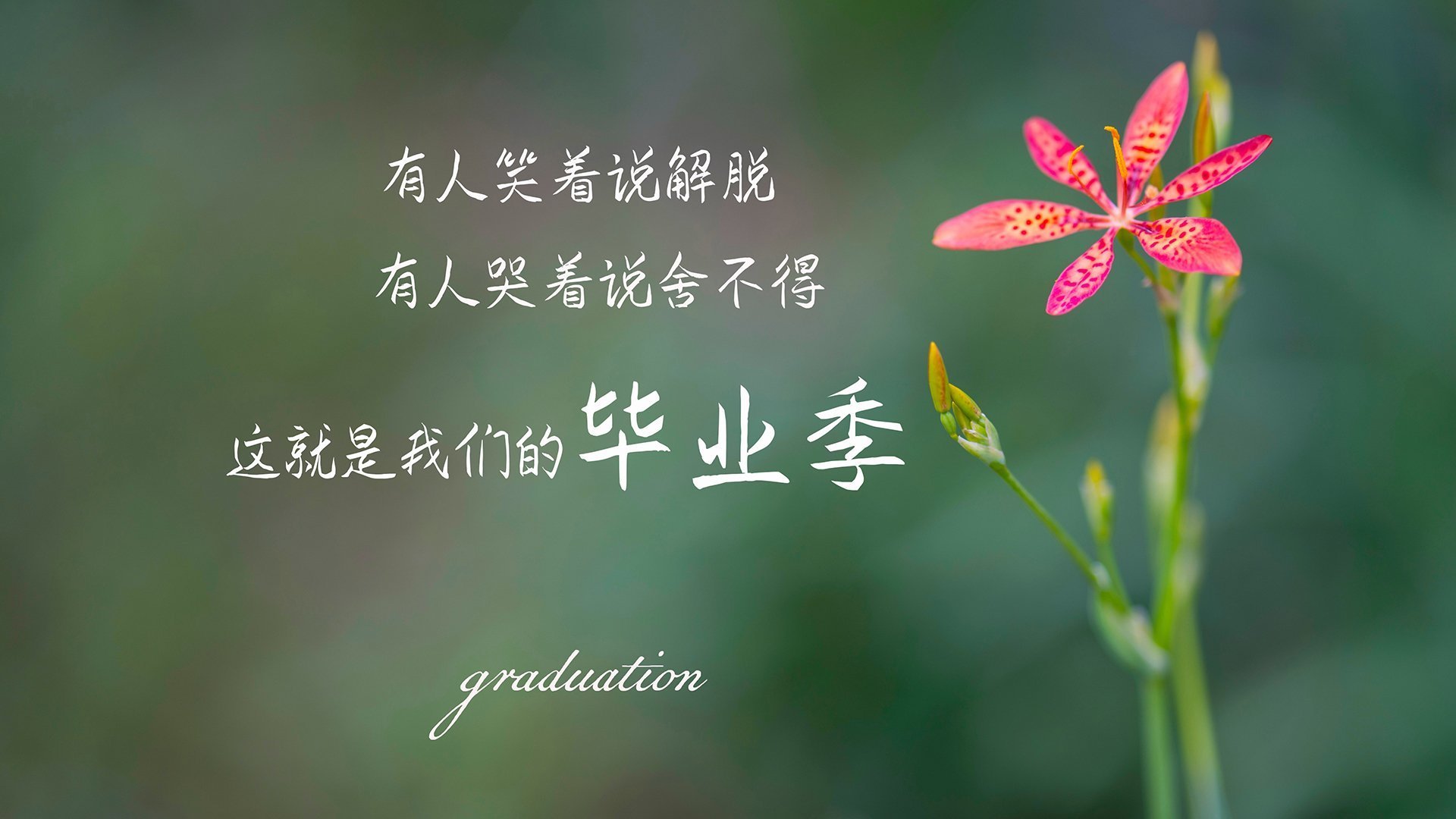 《电竞选手的日常：训练、休闲与生活点滴》，电竞选手peanut