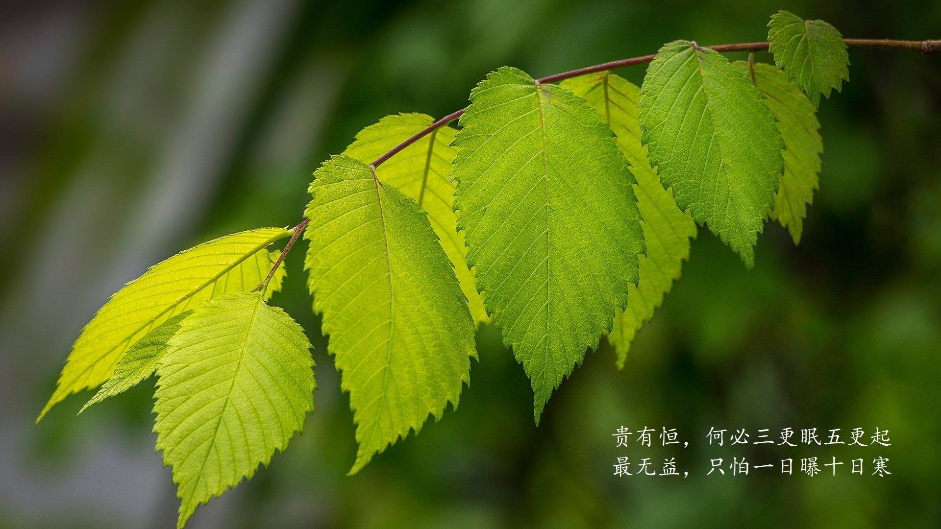 国际篮联代表团考察中国篮球产业链发展状况，中国国际篮球运动员