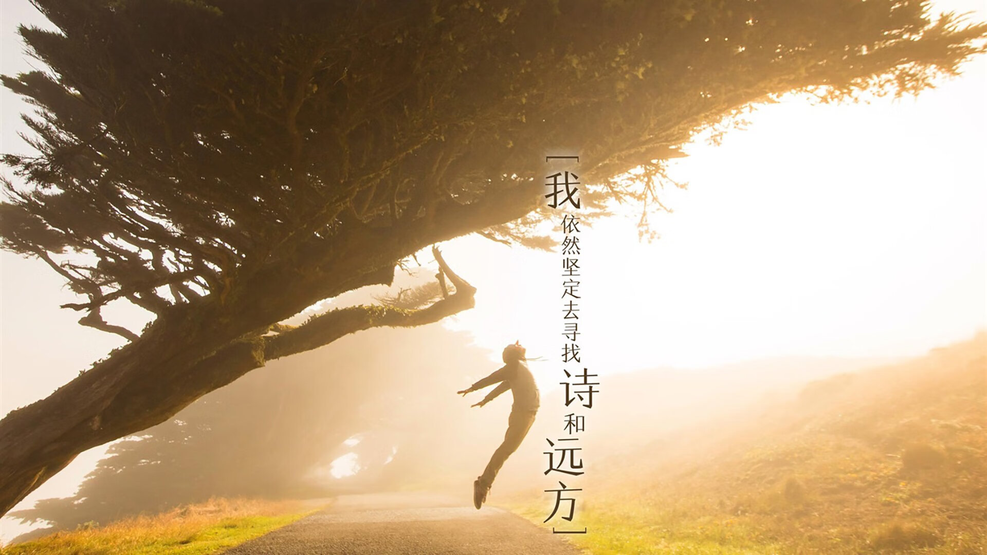 Kaiyun官方登录入口-洛杉矶湖人开启“新战术”模式，冲击季后赛佳绩，洛杉矶湖人队新闻