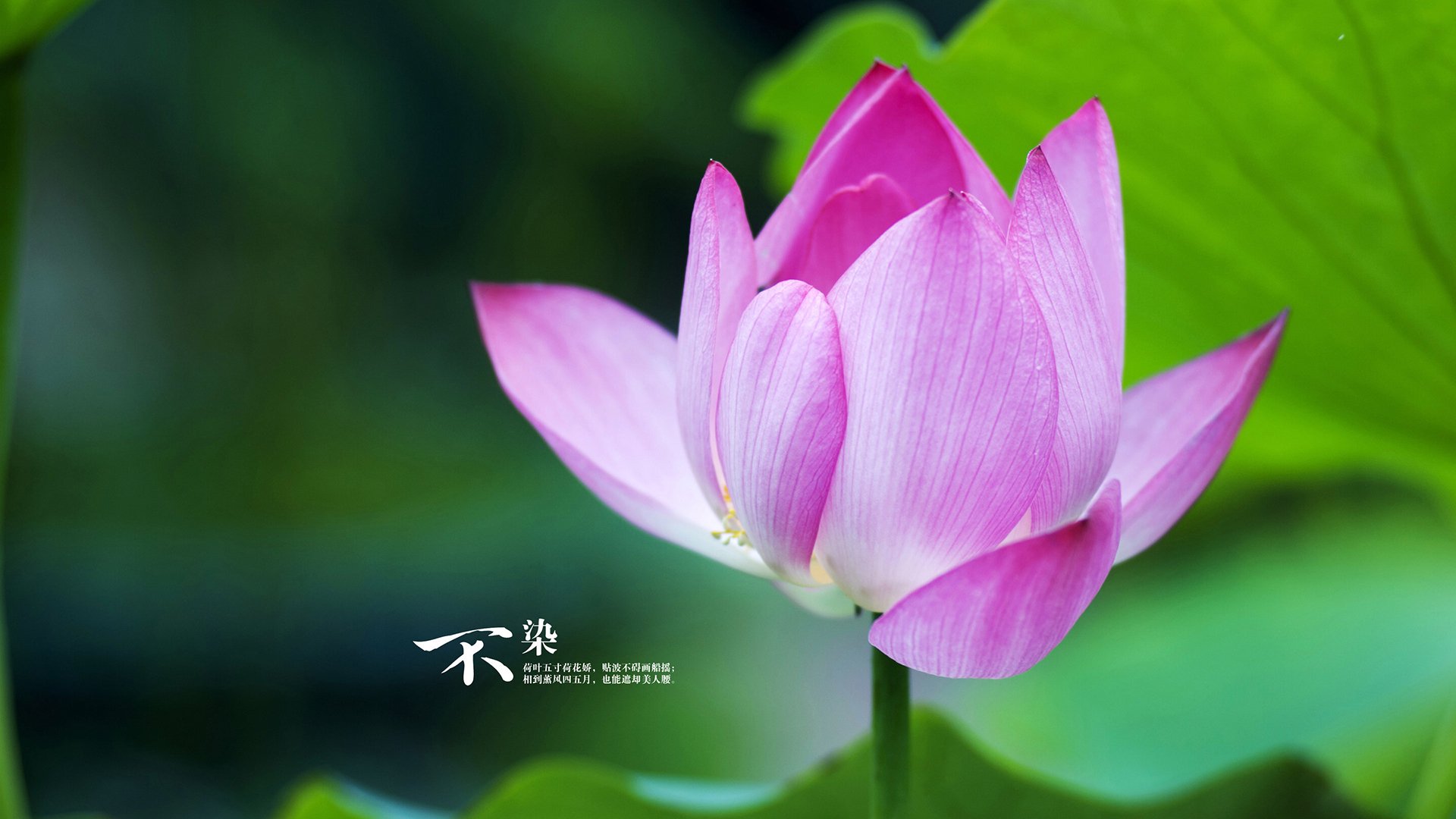 开云kaiyun-赛场上的3D打印零件大揭秘，3d打印比赛题材选择