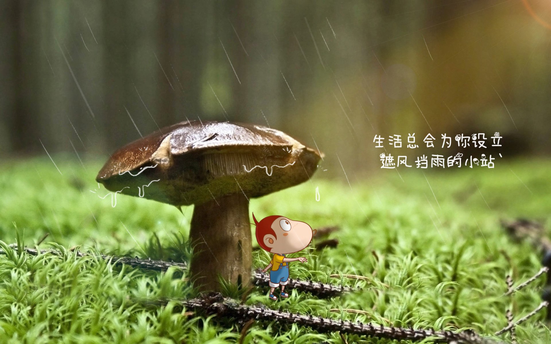 CBA联赛赛季总结与展望，cba联赛新赛季