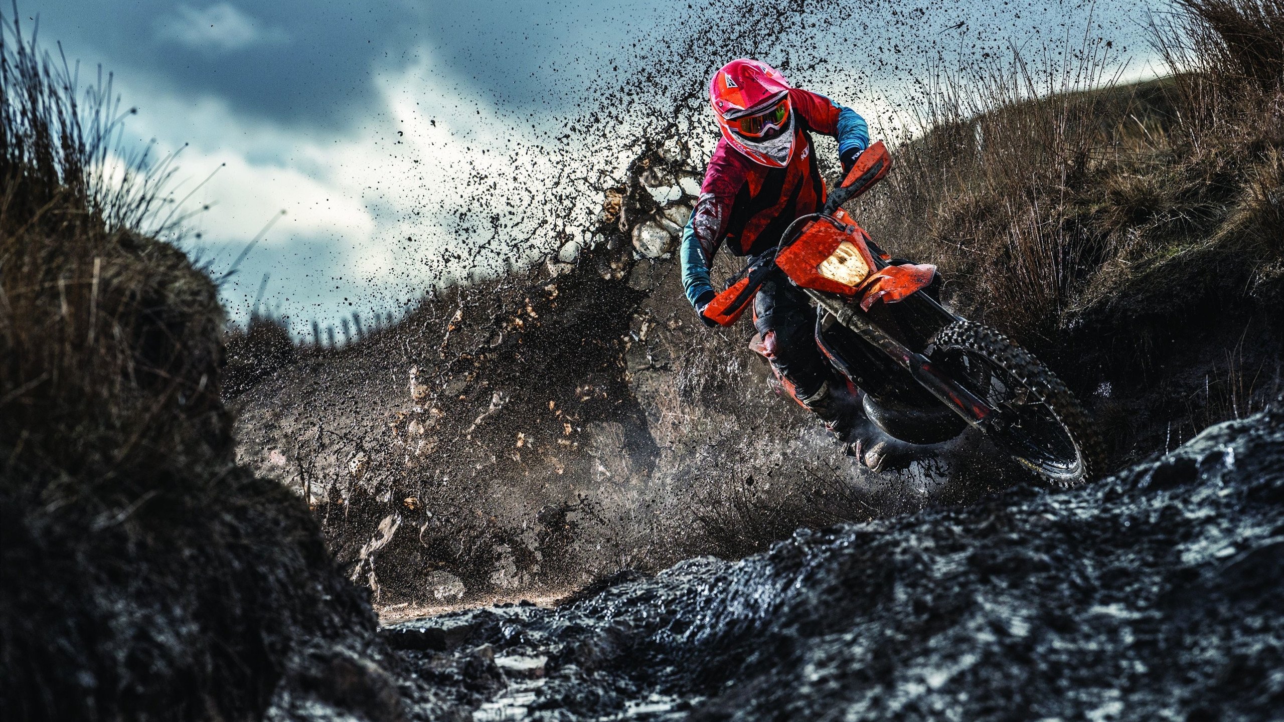 “冷门爆炸:黑马球队逆袭登顶的故事”,黑马系的小说